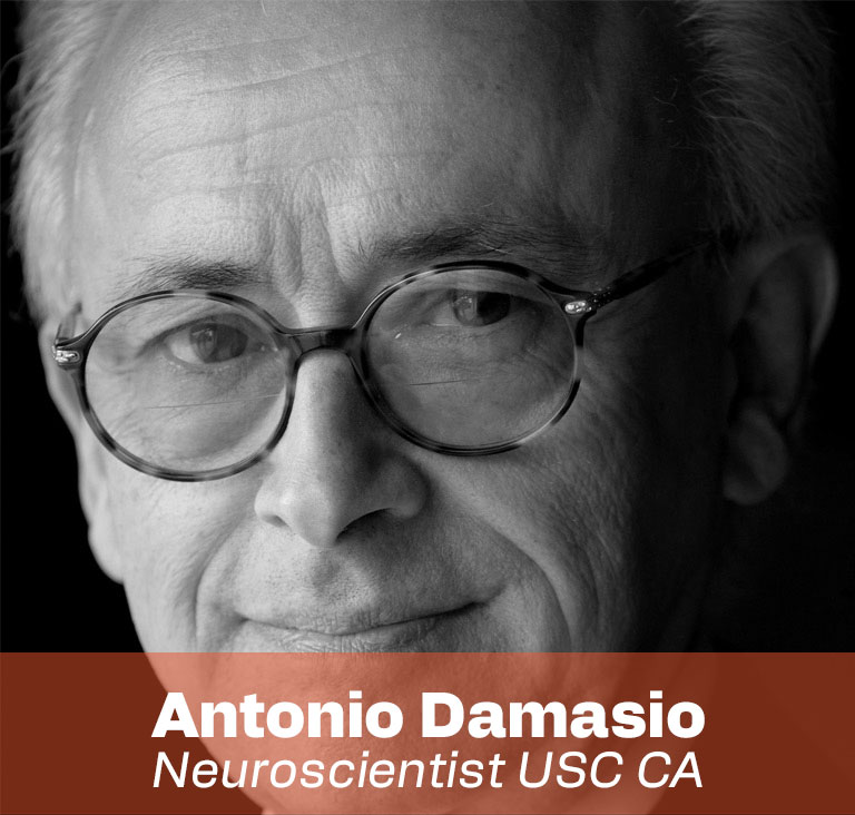 antonio damasio-NAAD master-Iuav VE