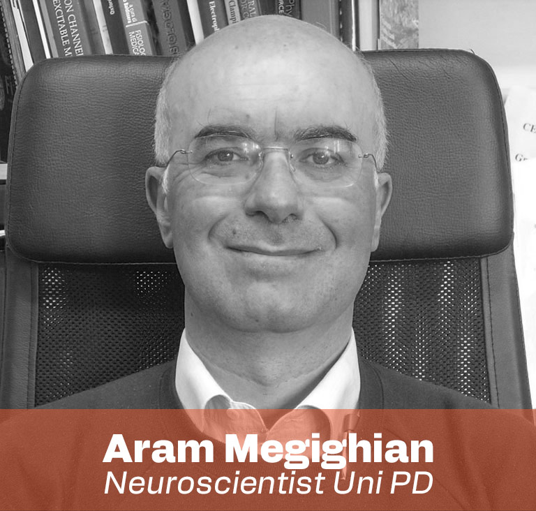 aram megighian-NAAD master-Iuav VE