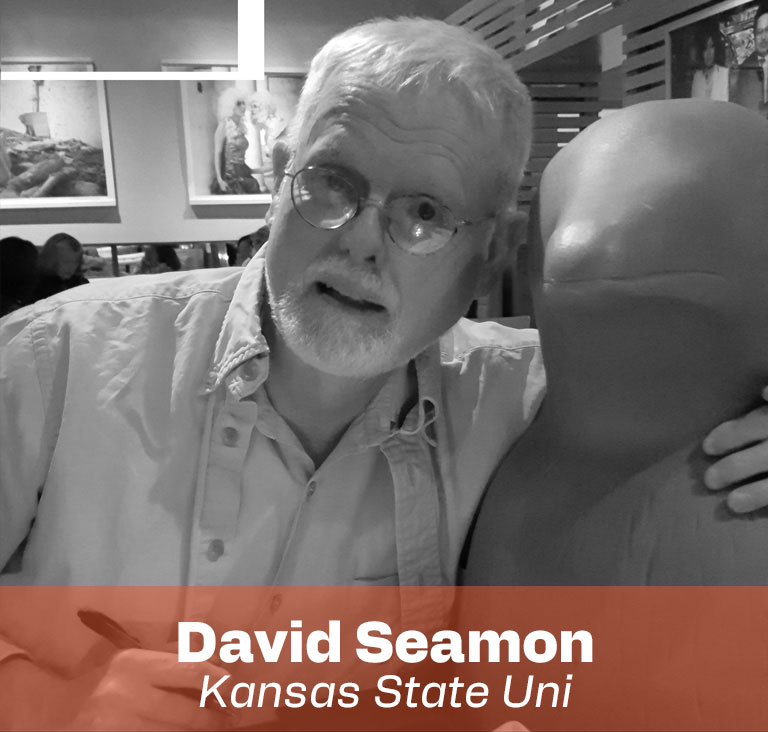 david seamon-NAAD master-Iuav VE