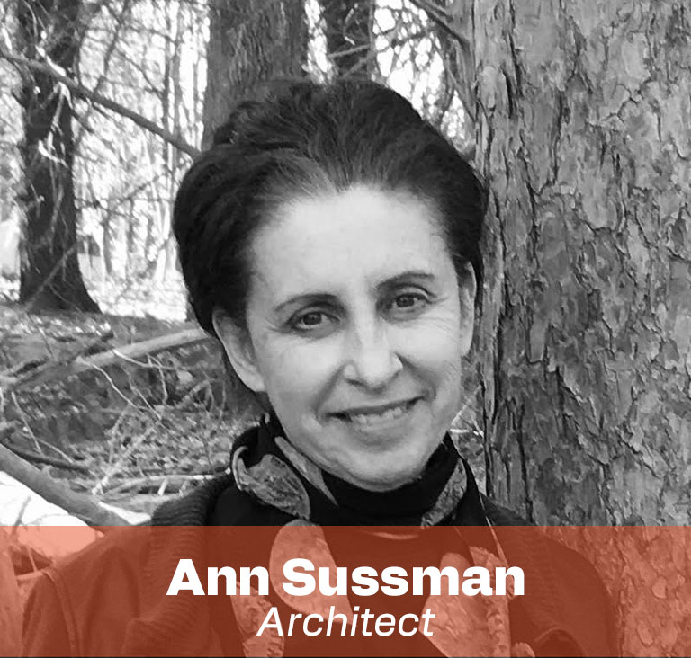 Ann sussman-NAAD master-Iuav VE